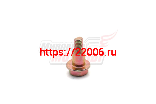 Винт крышки собачек стартера 168F/168F-2 (LIFAN оригинал) Винт крышки собачек стартера 168F/168F-2 (LIFAN оригинал)