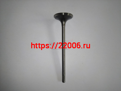 Клапан выпускной CS35 (H150061100)