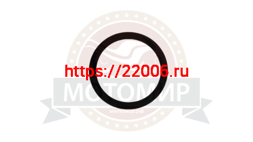 Кольцо регулировочное на вал натяжителя цепи Буран (110600187-01)