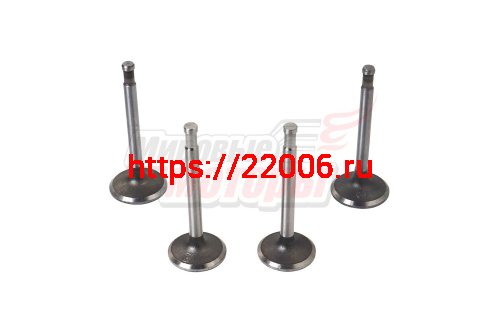 Клапаны Урал (1комп.=2пары) фирм.(выпуск.клап. - не магнитятся) Клапаны Урал (1комп.=2пары) фирм.(выпуск.клап. - не магнитятся)