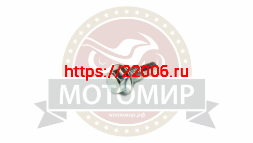 Болт ролика натяжителя цепи ГРМ Альфа, Zodiak (гладкого), среднего (в цилиндр) фото 2