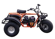 Трицикл ТРИТОН  САФАРИ-3L- 8+